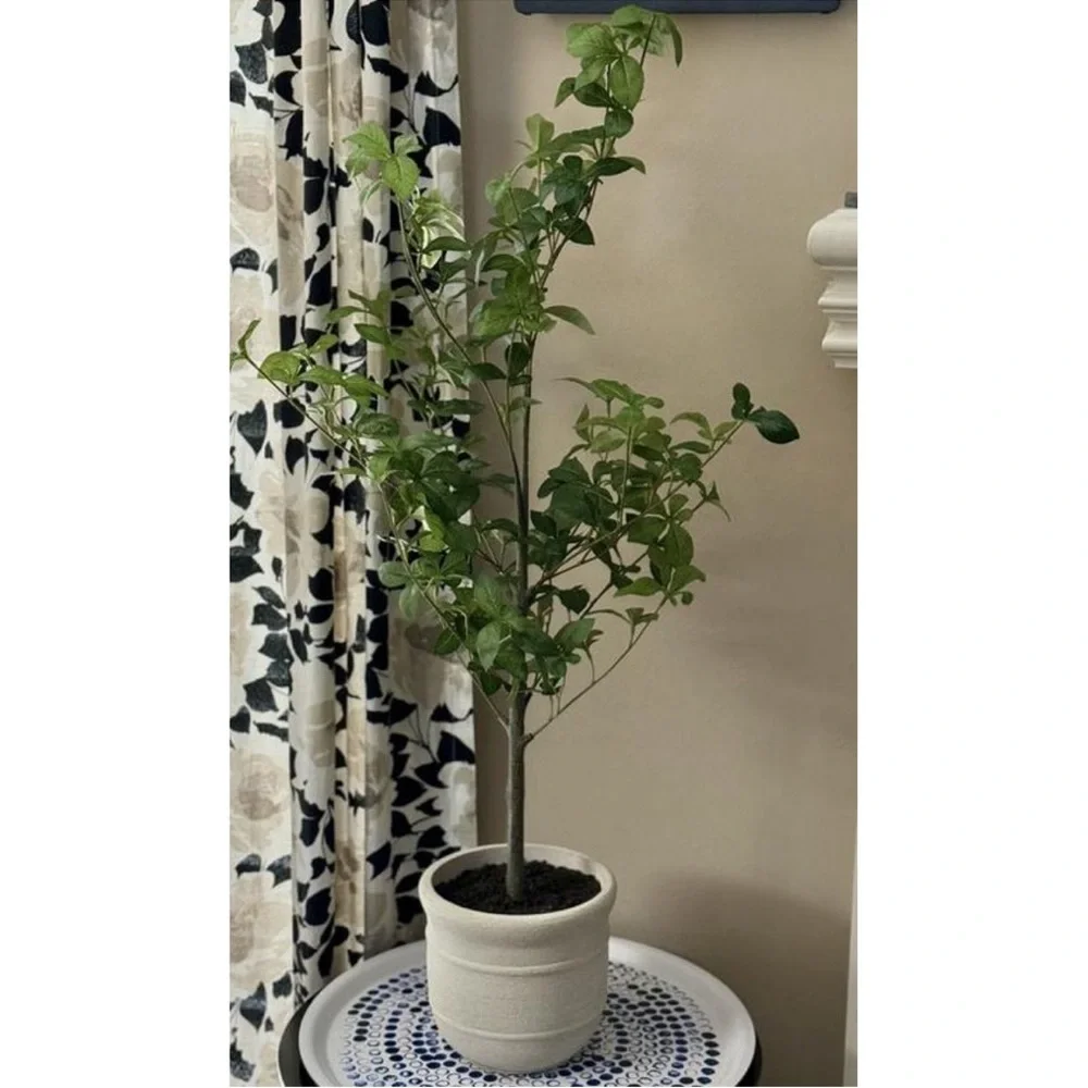 Hearth & Hand Magnolia 33